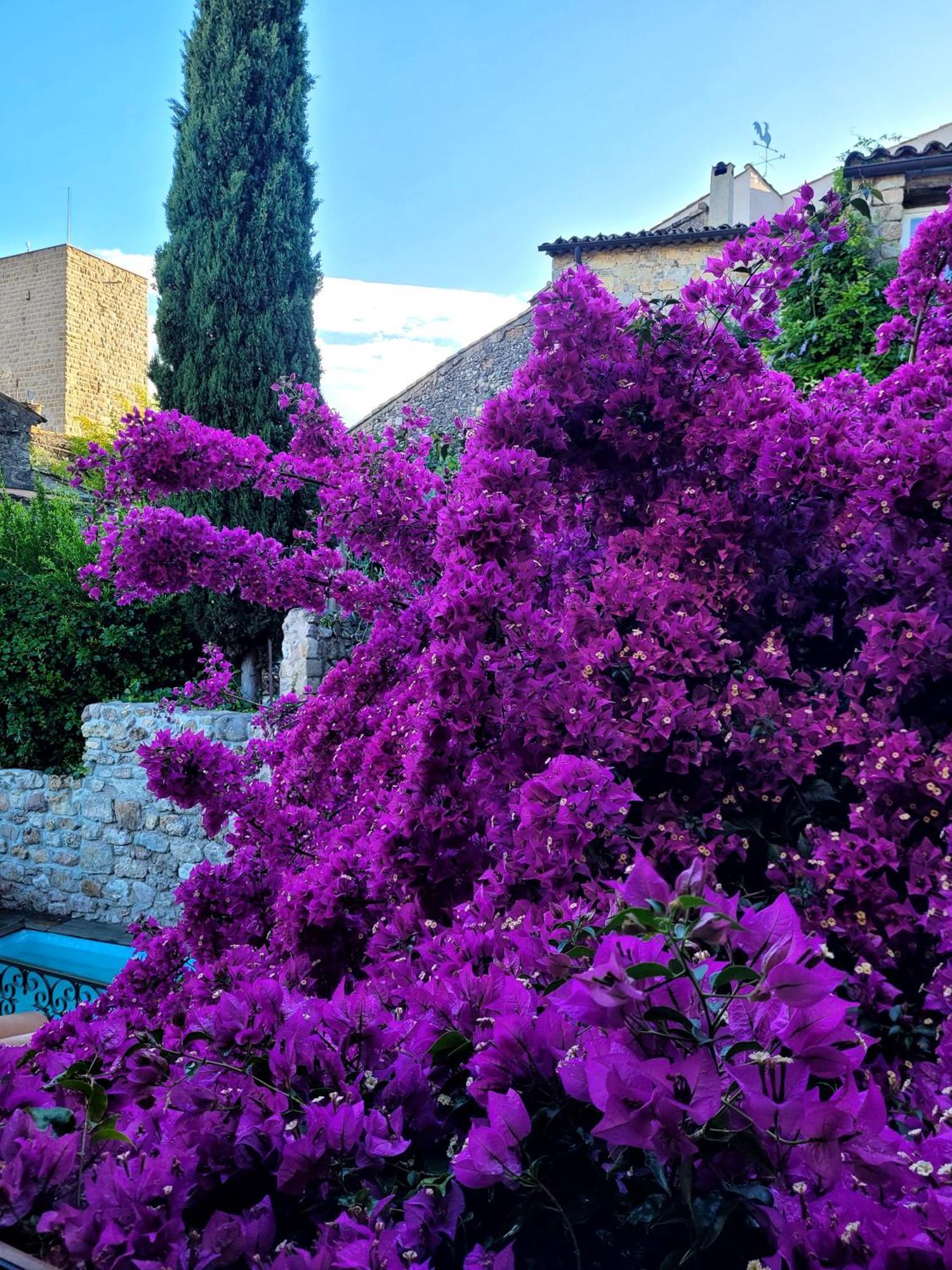 Villa Arca Les Arcs-sur-Argens Εξωτερικό φωτογραφία